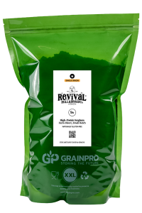 High-Protein Sorghum